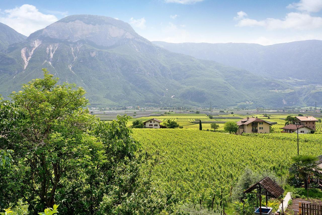 Haus Weinblick Apt 5 Magre all' Adige Dış mekan fotoğraf